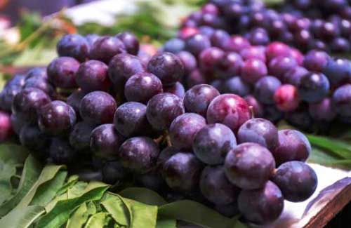 试管可以吃葡萄吗？移植后可以吃葡萄吗？