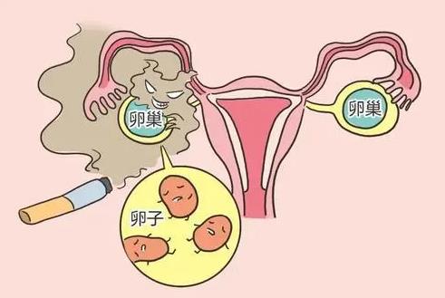卵巢早衰怀孕了会生化吗？生化妊娠有哪些症状？